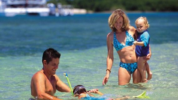 Wavedancer Low Isles Cruise from Port Douglas