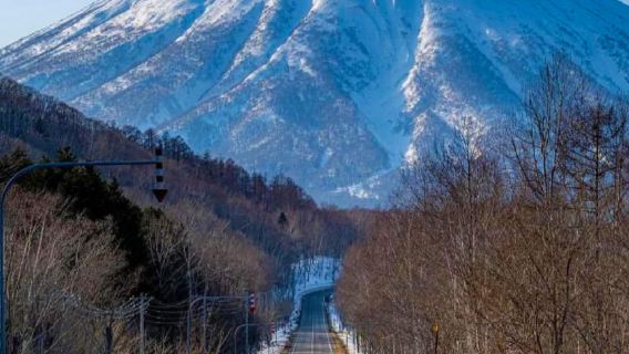 【北海道洞爺湖】洞爺湖&登別地獄谷&熊牧場或有珠山一日遊