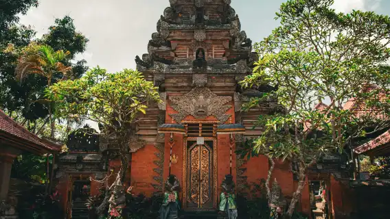 探索烏布:全包式猴子森林、梯田、瀑布及更多