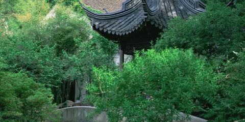 江蘇無錫:寄暢園 中文英文俄文日文泰文等多語種講解導遊C