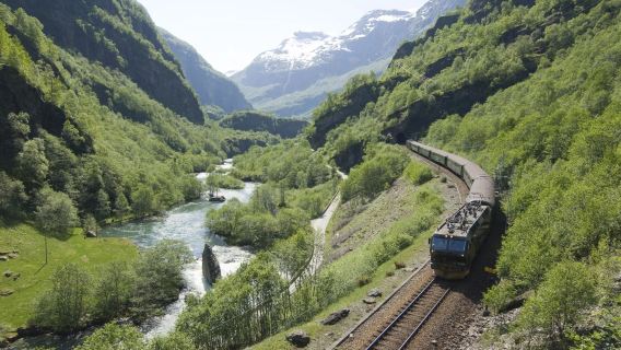 Bergen Loop: Sognefjord Cruise + Observation Deck + Lunch + Flåm + Mountain Railway