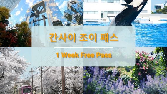 고베이색 체험