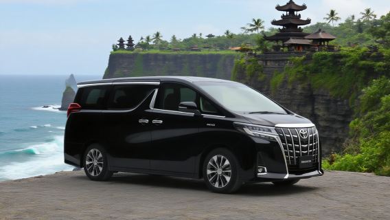 noleggio con conducente esclusivo viaggio indipendente di Bali [Palazzo di Ubud/Terrazze di riso di Ubud/Tempio di Tirta Empul/Lovina]