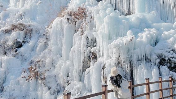 Winter 1-day tour from Seoul: Strawberry picking + Eobi Valley + Sledding experience