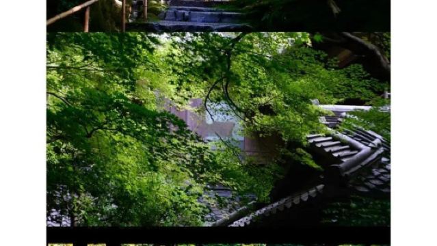 日本大阪-黑門市場-通天閣-心齋橋-道頓堀-經典購物！