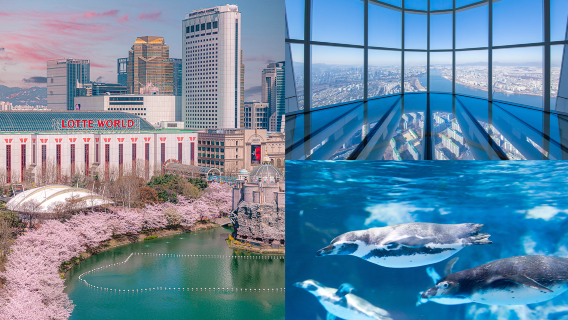 EXCURSIÓN DE UN DÍA ULTRA LOTTE (Lotte World Adventure+Seoul Sky+Aquarium+LDF)