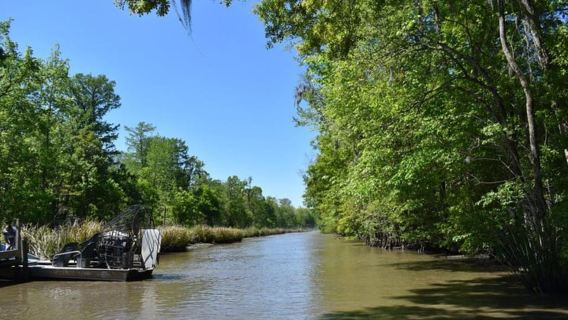 New Orleans: Oak Alley Plantation Tour and Airboat Tour