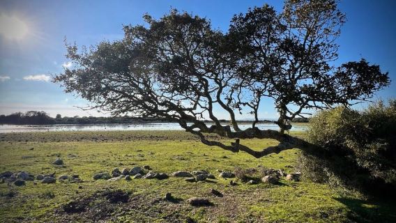 Tuili: Wild Giara Tour