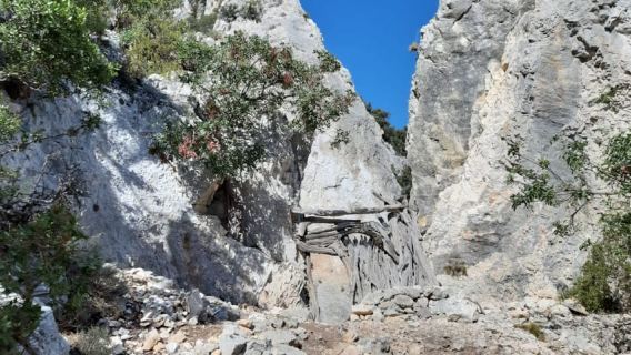 From Baunei: Cala Mariolu Hiking Tour