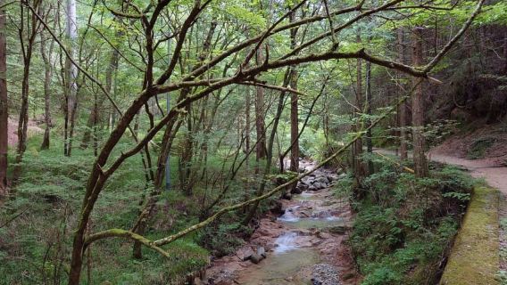 Da Matsumoto/Nagano: tour a piedi del sentiero Nakasendo