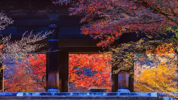 【大阪京都一日遊丨精緻小團】南禪寺&三千院&貴船神社紅葉巡遊