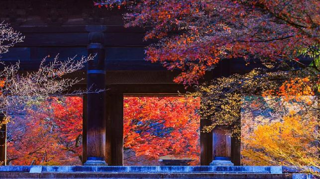 【大阪京都一日遊丨9-13小團】南禪寺&三千院&貴船神社巡遊
