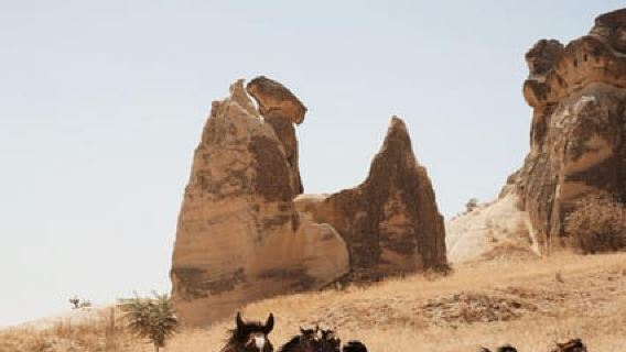 Servizio fotografico nella valle: auto d'epoca, cavallo al galoppo e trucco in regalo