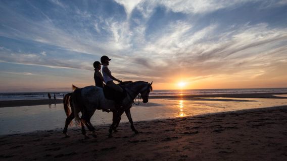 Trải nghiệm cưỡi ngựa trên bãi biển đen Bali tại Saba Beach