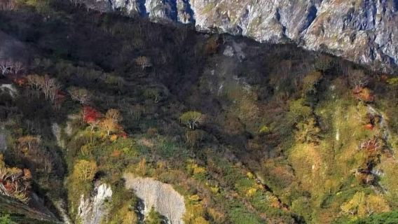 日本北海道大雪山國立公園+層雲峽【秋季賞楓/中文定制包車】