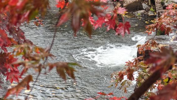 本溪水洞/關門山/老邊溝3選1賞楓一日遊【獨立包車上門接送】