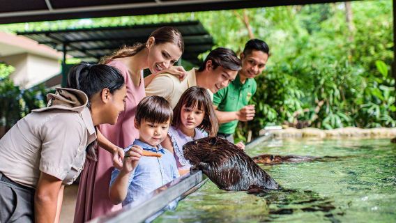 新加坡動物園一日遊夜間河川日間動物園新加坡飯店專車接駁中文