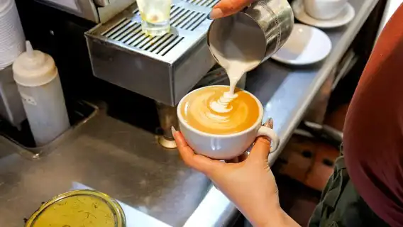 搭乘水上摩托車前往鮑文島,包括啤酒、葡萄酒、咖啡或冰淇淋