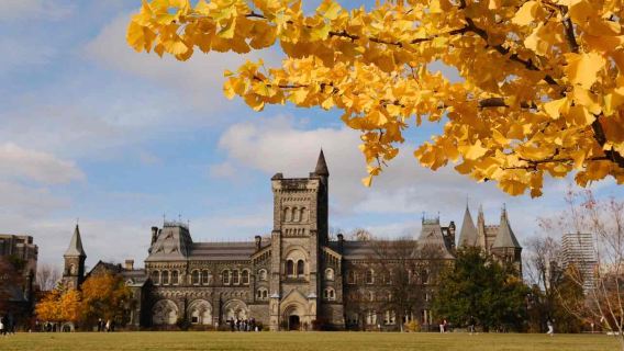 Hành trình điện ảnh Toronto: Đại học Toronto + Tòa thị chính + Nhà máy rượu + Tháp truyền hình + Dạo bến cảng