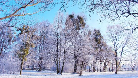 挪威卑爾根來回哈當厄爾峽灣+努爾黑姆松小鎮【全境可定制】
