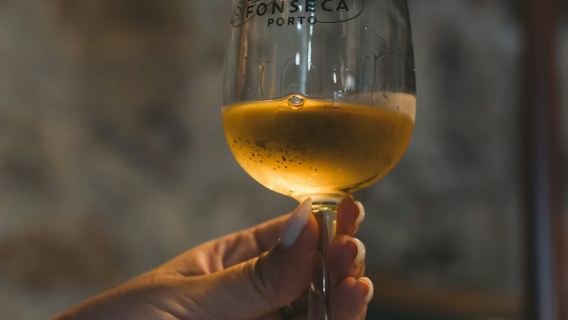 Fonseca-Weinkeller & Das Weinerlebnis: Führung + Verkostung