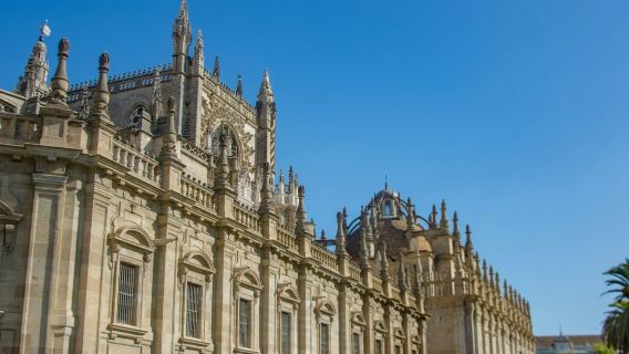 Reale Alcázar di Siviglia, Cattedrale e Giralda: tour guidato in italiano