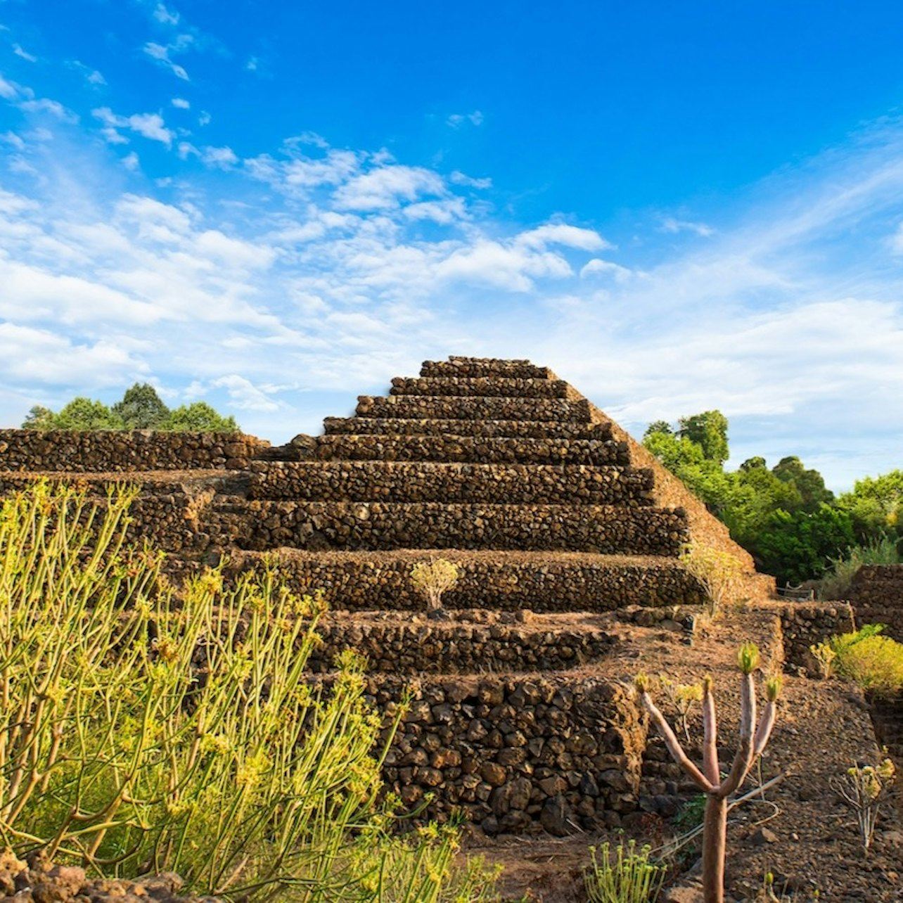 グイマールのピラミッド：入場券 + 音声ガイド