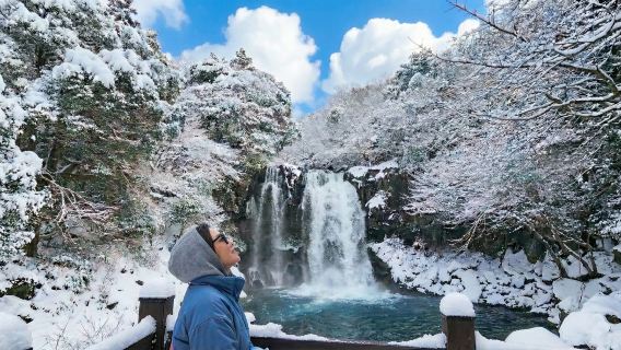 ท่องเที่ยวผจญภัยทางตะวันตกเฉียงใต้ของเชจู - ปีนเขาฮัลลาซาน & สนุกสนานที่สวนส้มท้องถิ่น