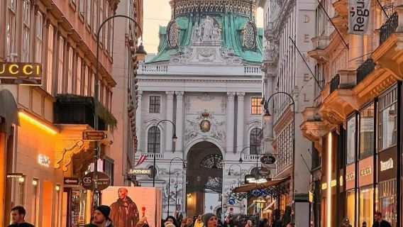 維也納包車遊【1單1團·純玩·中文專車】