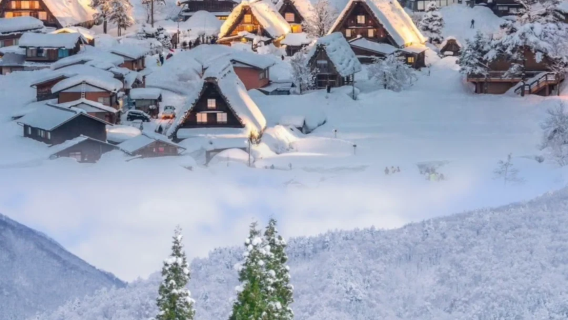 日本名古屋 白川鄉+合掌村 冬季雪景【包車精華一日遊】