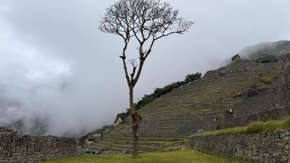 Excursión de Cusco a Machu Picchu + Boletos de Ingreso Incl.