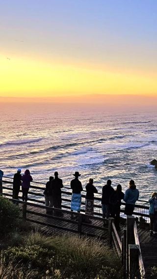 Great Ocean Road + Twelve Apostles Tour from Melbourne, Australia [Round-trip from City / Koala Spotting]