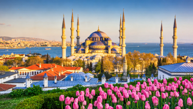 Temple of Artemis + Ephesus | 1-Day Private Chartered Tour to Two Wonders of the Ancient World