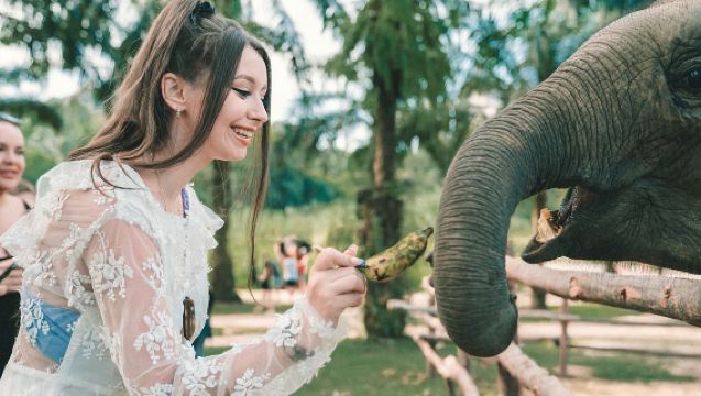 Thailand travel: Krabi Green Kingdom Elephant Sanctuary half-day tour - elephant bathing, feeding, and family interaction