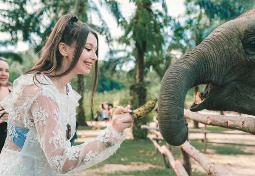 Thailand travel: Krabi Green Kingdom Elephant Sanctuary half-day tour - elephant bathing, feeding, and family interaction