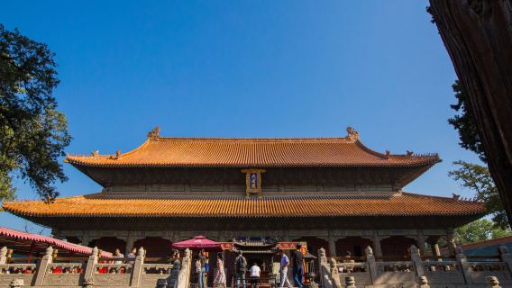 Lawatan Sehari Premium ke Tiga Kuil Confucius di Qufu [Pengangkutan dari Jinan + Tiket Masuk Kuil Confucius/Kediaman Confucius/Hutan Confucius + Pemandu Pelancong]