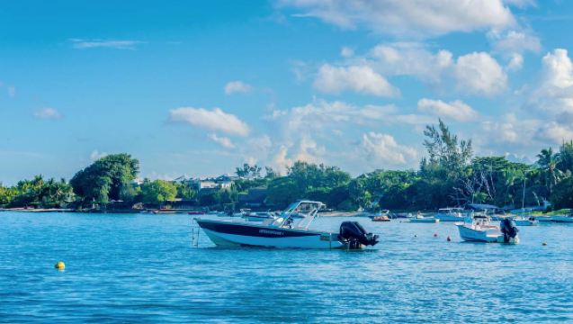 1-day tour to Mauritius speedboating dolphin (+whale watching) + Casela wildlife park