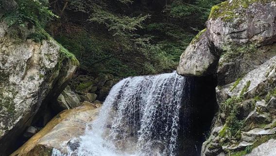 6人團-秦嶺高峰太白山國家森林公園+古觀音禪寺