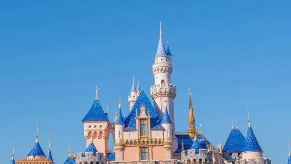 Point-to-point one-way/round-trip transfer/customized private charter for Disneyland Park California in Los Angeles