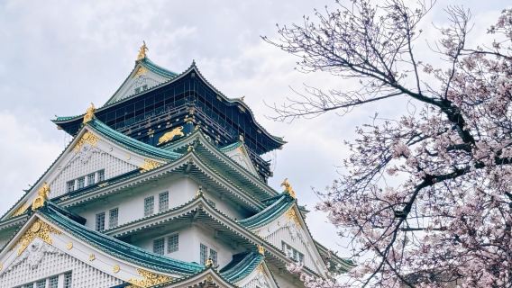 大阪經典市區一日遊（歷史+美食+購物夜景，不走回頭路）