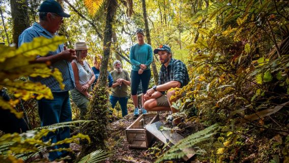 Franz Josef Glacier: 2.5-Hour Lake Mapourika Cruise and Walk