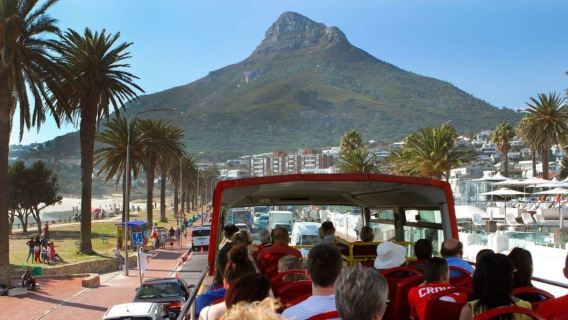 Cape Town: Hop-On Bus & Wine Tasting at Groot Constantia