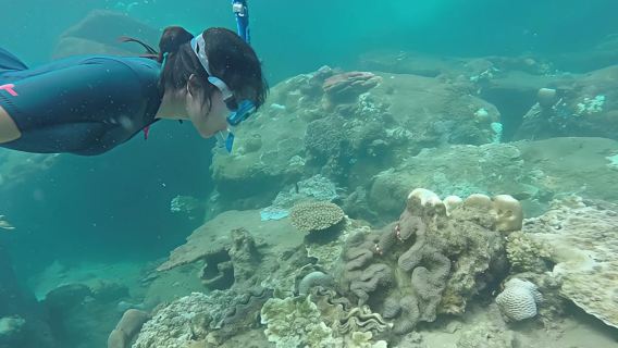Guided snorkeling in Cambrils with an explanation of the marine environment.