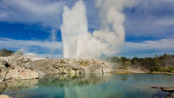 AucklandTours