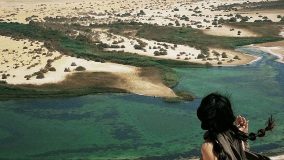 Egypt Al Fayyum + Wadi Hitan National Park Day Tour with Sahara Desert, Private Transfer, Admission Ticket and Lunch