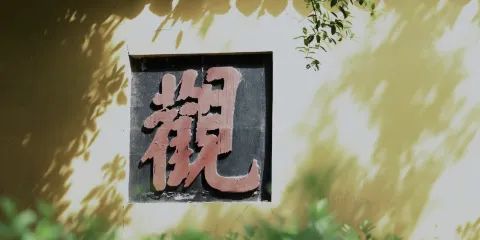 靈隱寺+靈隱飛來峯半日遊/2小時深度講解/可訂私家團/含門票