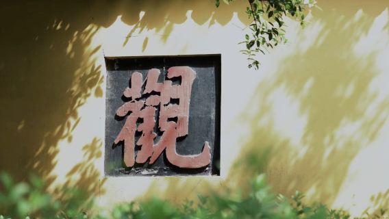 靈隱寺+靈隱飛來峰半日遊10人小團2小時全程講解/可訂私家團