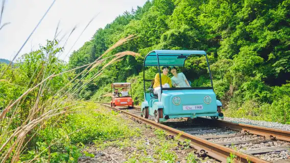ทัวร์วันเดียว/ทัวร์หลายวัน เกาะนามิ + สวนสนุกรถไฟคังชอน + หมู่บ้านฝรั่งเศส + สวน Garden of Morning Calm