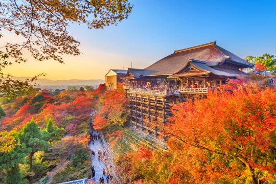 One-day trip to Nara Park + Fushimi Inari Taisha Shrine + Kiyomizu Temple in Kyoto Prefecture, Japan