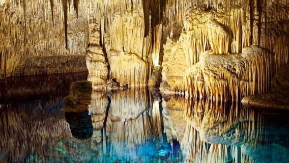 Mallorca: Halbtagesausflug mit dem Bus zu den Drachenhöhlen und Porto Cristo
